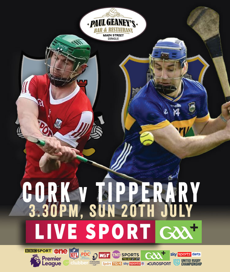 Hurling 2025.